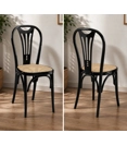 Vienna 18 Viennese chairs Progetto Sedia 1